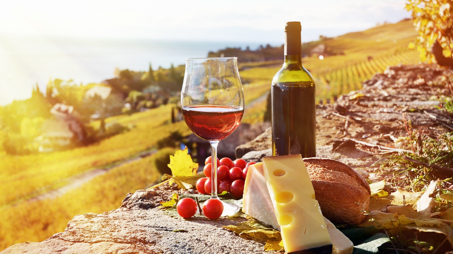 Barossa Valley